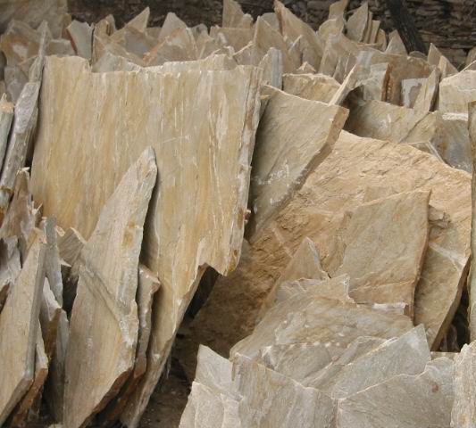 Yellow Wooden Veins
